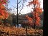 2010 10 23_7