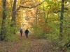 2010 10 23_8