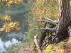 2010 10 23_9