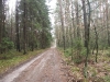 2011-03-19_6