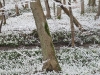 2011-03-26_10