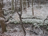 2011-03-26_11