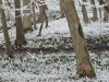 2011-03-26_9