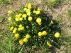 2011-04-30_l