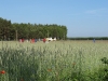 2011-06-04_m