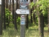 2011-06-04_z5