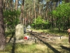 2011-06-04_z6
