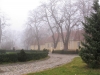 2012-11-17_a