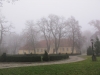 2012-11-17_a1