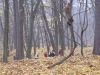 2012-11-17_b2