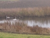 2012-11-17_b8