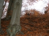 2012-11-17_c6