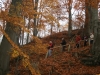 2012-11-17_c7