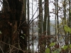 2012-11-17_c9b