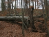 2012-11-17_c9d