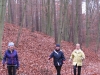 2012-11-18_f1