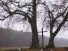 2012-11-17_e3