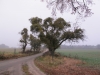 2012-11-17_e4