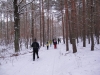 2012-12-15_c