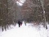 2012-12-15_d