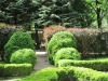2012-05-12_g