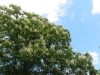 2012-05-12_r
