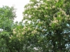 2012-05-12_t
