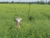 2012-05-12_z1