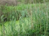 2012-05-12_z6