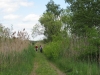 2012-05-12_z7