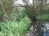 2012-05-12_z9c