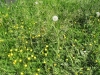 2012-05-12_z9h