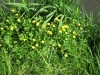 2012-05-12_z9i