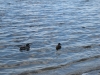 2012-05-12_i