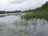 2012-05-13_l2