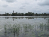 2012-05-13_m