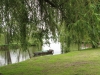 2012-05-13_p