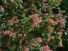 2012-05-13_y