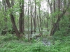 2012-05-13_e