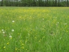 2012-05-13_j