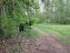 2012-05-13_p
