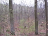 2013-04-27_i1