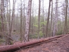 2013-04-27_i2