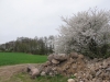2013-04-27_m1