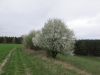 2013-04-27_m5