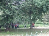 2013-06-29_b2a