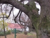 2013-11-17_k3