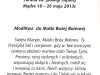 matka-boza-bolesna_2