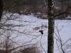 2014-02-01_j