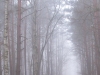 2014-03-01_c